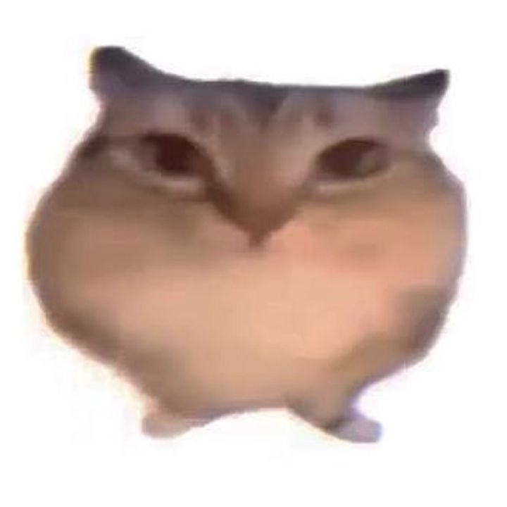 bababoi_bababoi_bababoi