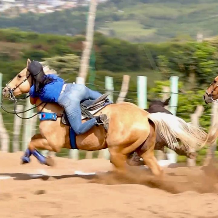 Nayara 🐎