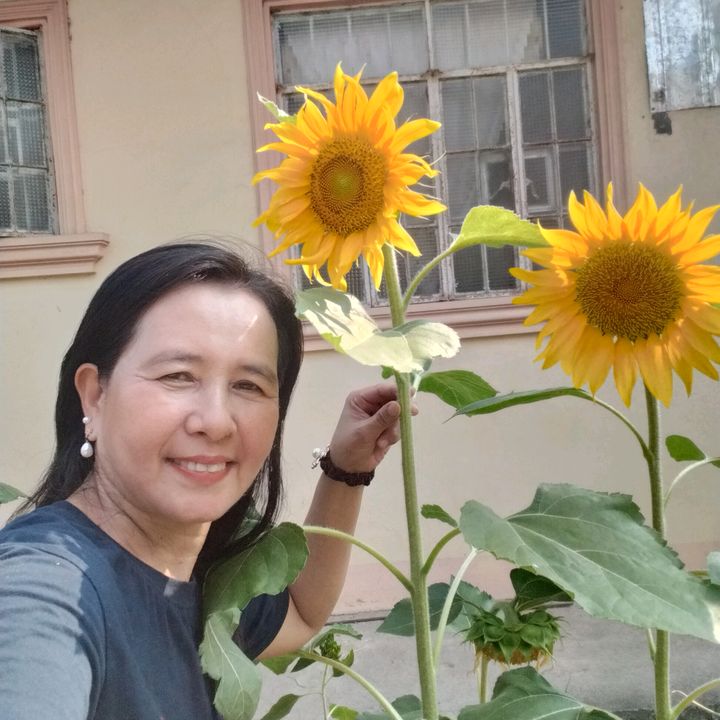 Melody Sonajo🇵🇭