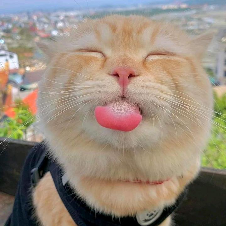 BisayangDako♡