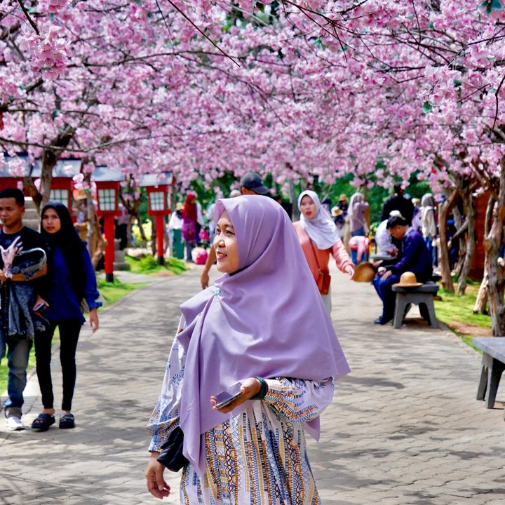 Ucu Musyarofah
