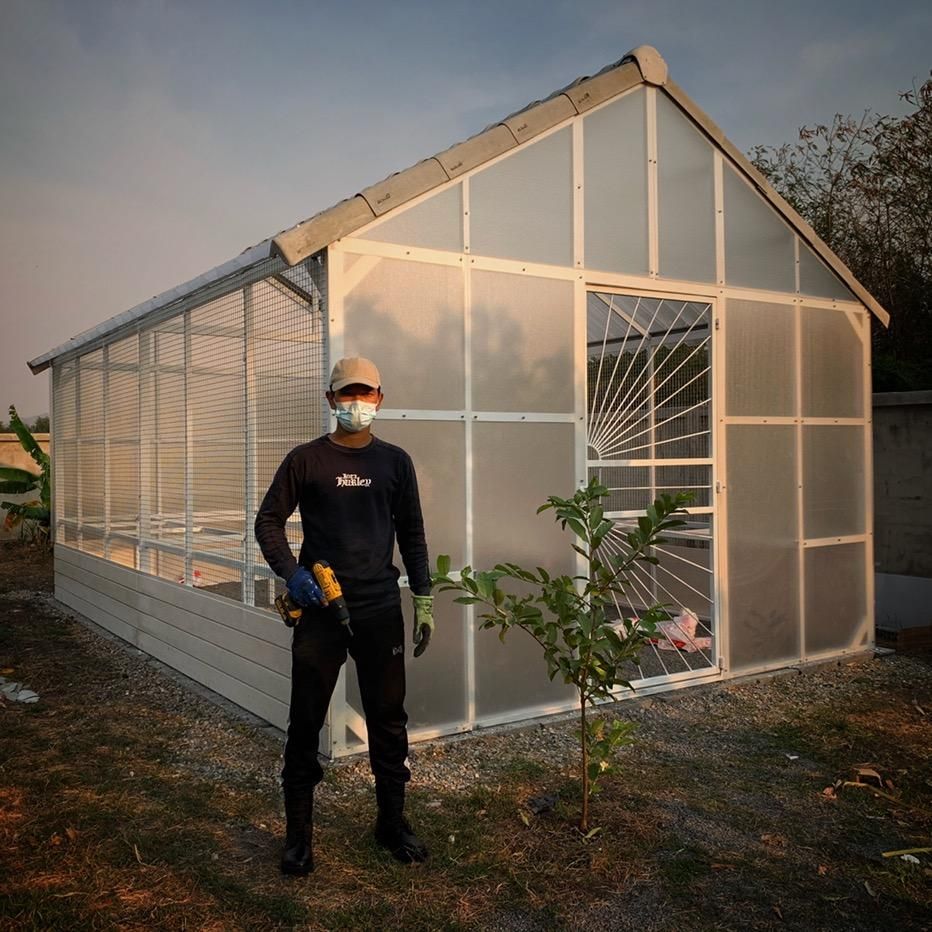 อ้น บ้านทองกวาว