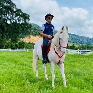 Subdepo Arabian Park