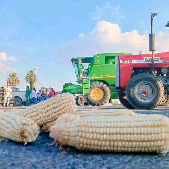 trabajo en el campo