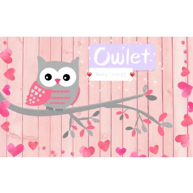 Owlet_babystuff