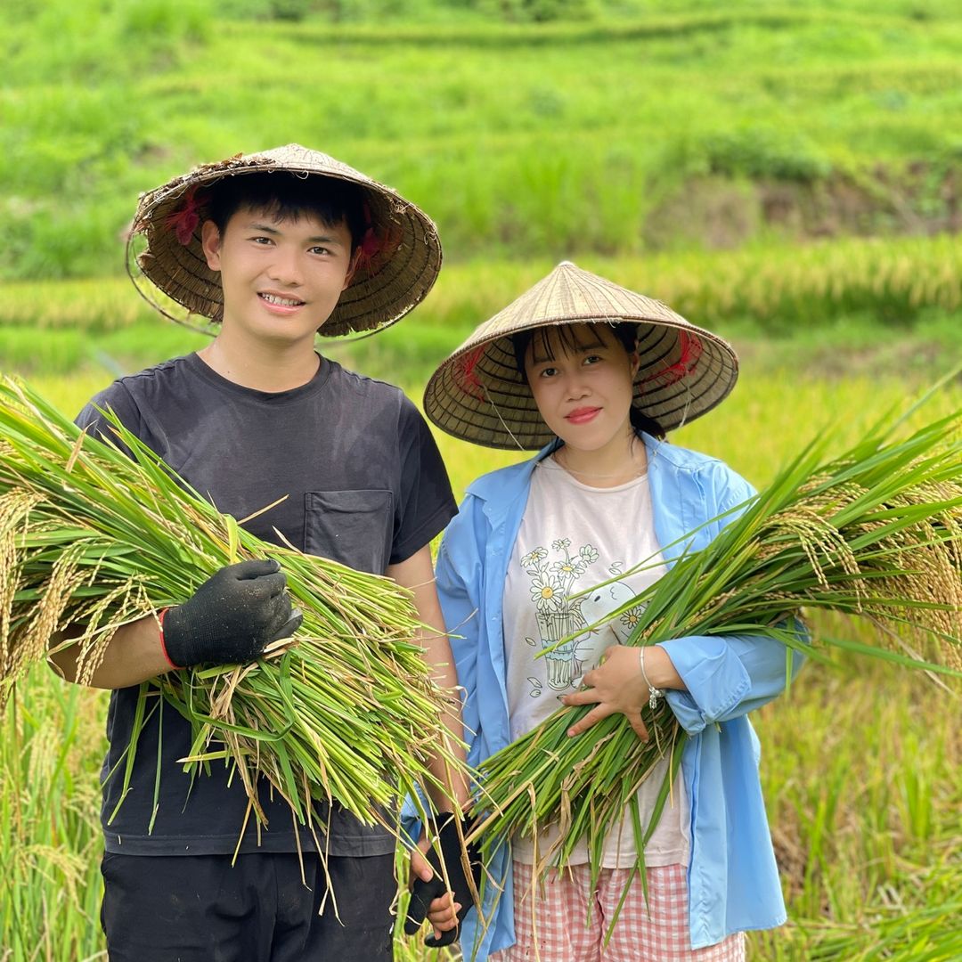 Nhà Dứa có gì thế? 🍍