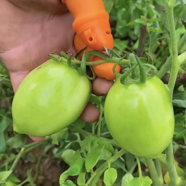 Tổng Kho Nông Nghiệp 686