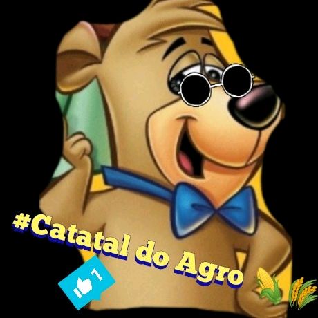 catatau do Agro 🐻