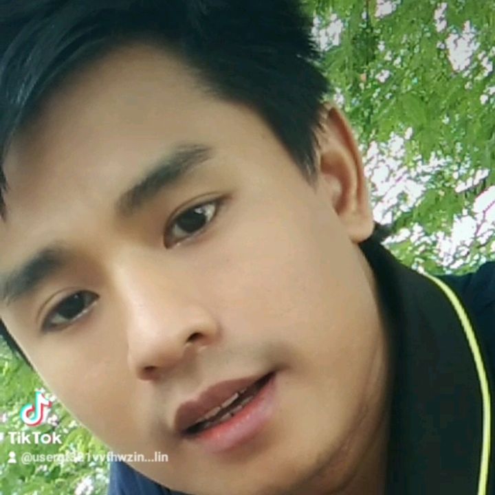 Zin.Lin.Thu(ဒိုက်ဦးသားလေး)