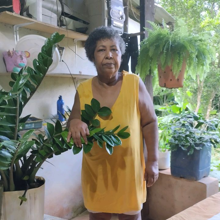 ㅤedna Alves