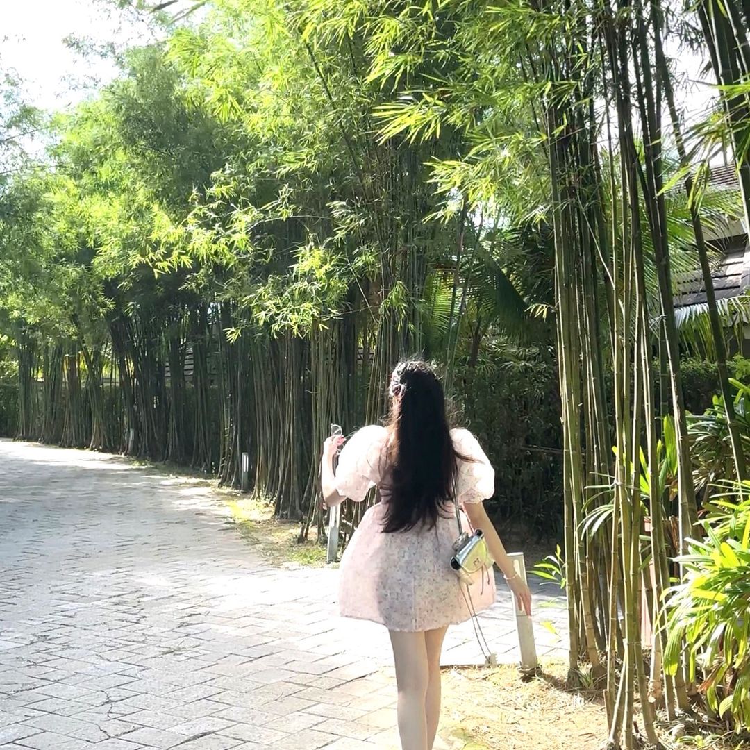 dthuy