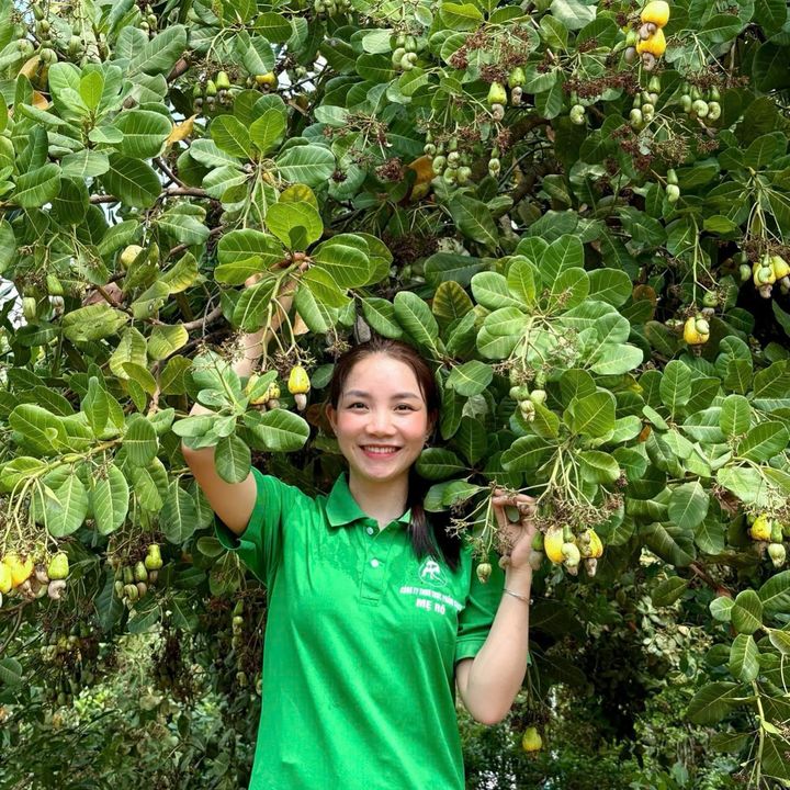 THỰC PHẨM SẠCH MẸ RÔ