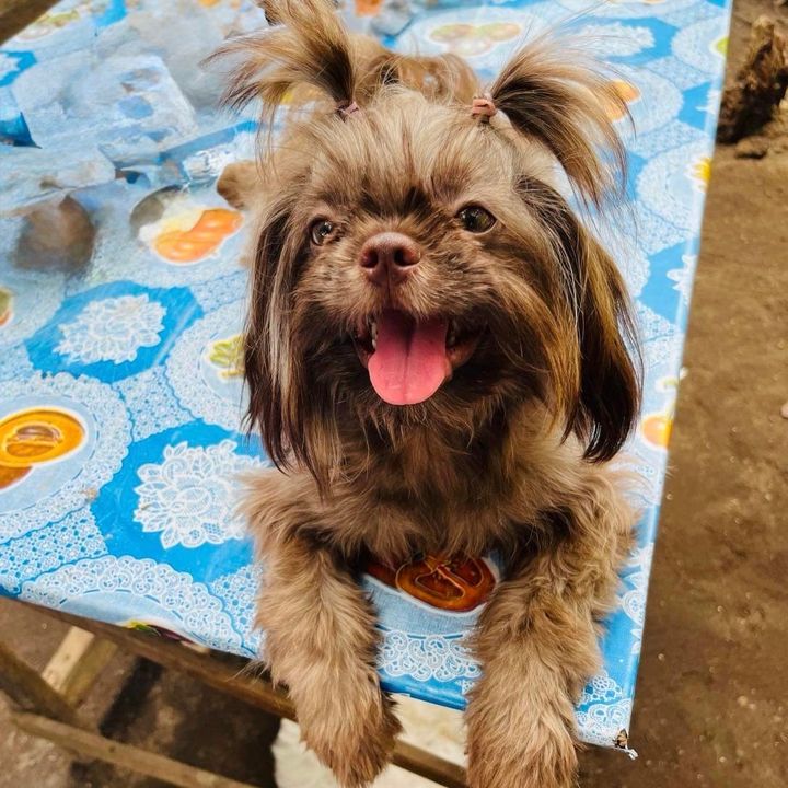 ツ Muffyn🐾 🦴