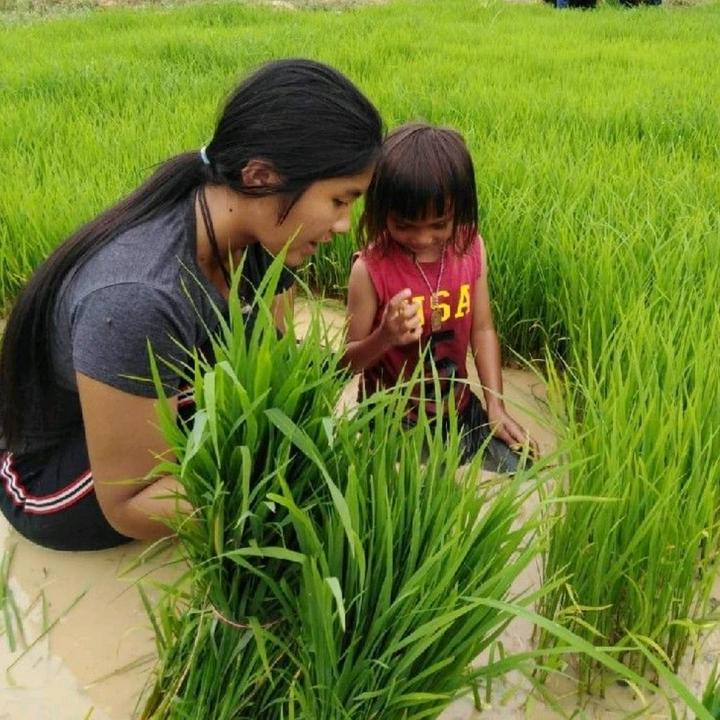 ออมสิน บ้านไร่สวนสุข