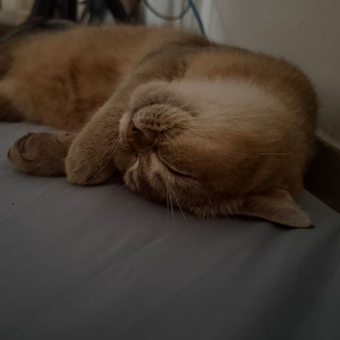 bunandmi