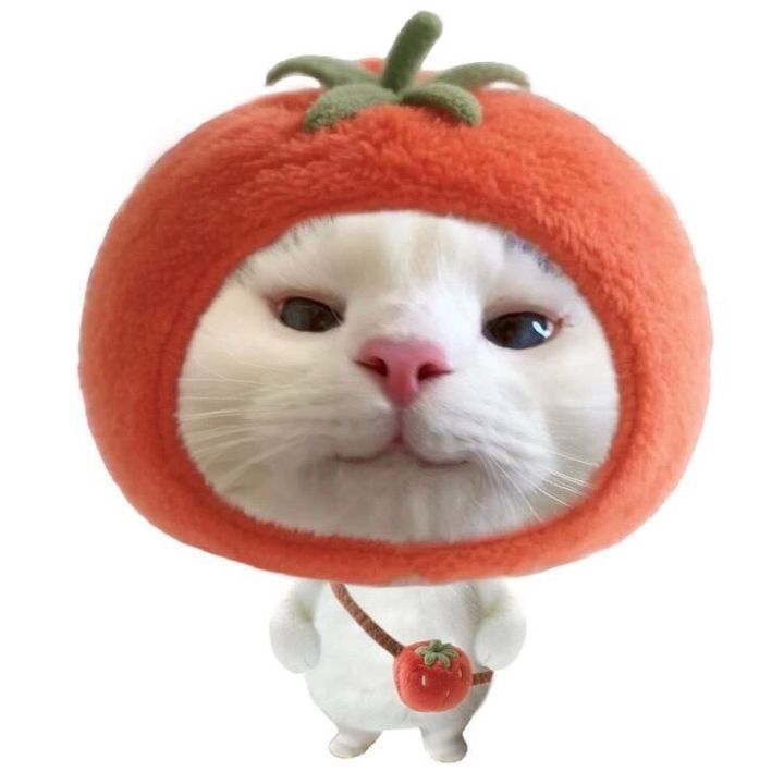 Dâu Đen 🍓🖤