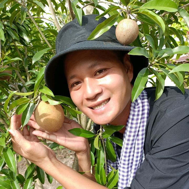 Út Hồ Miệt Vườn