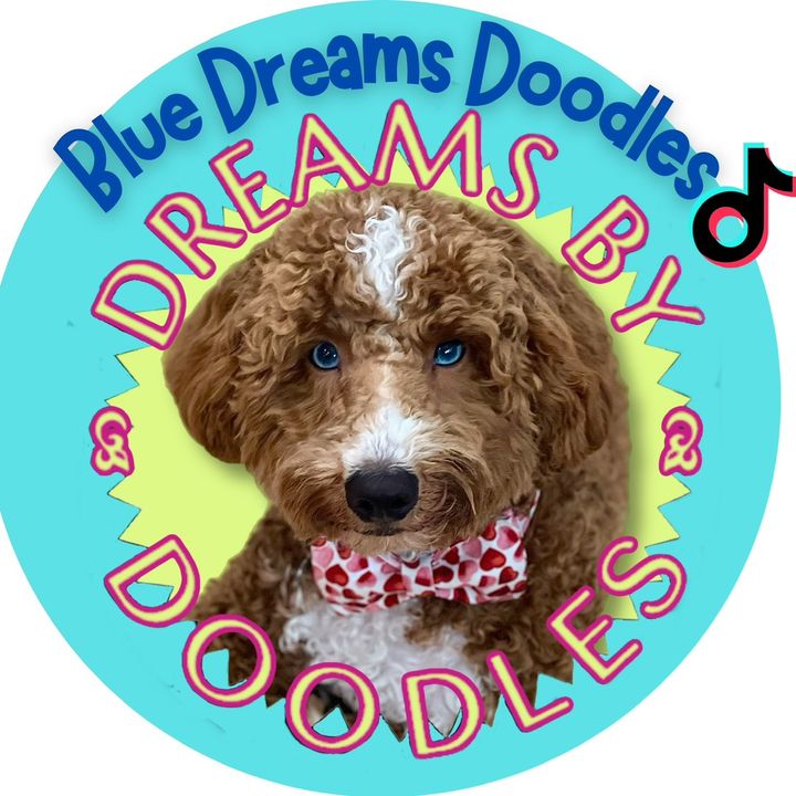 bluedreamdoodles