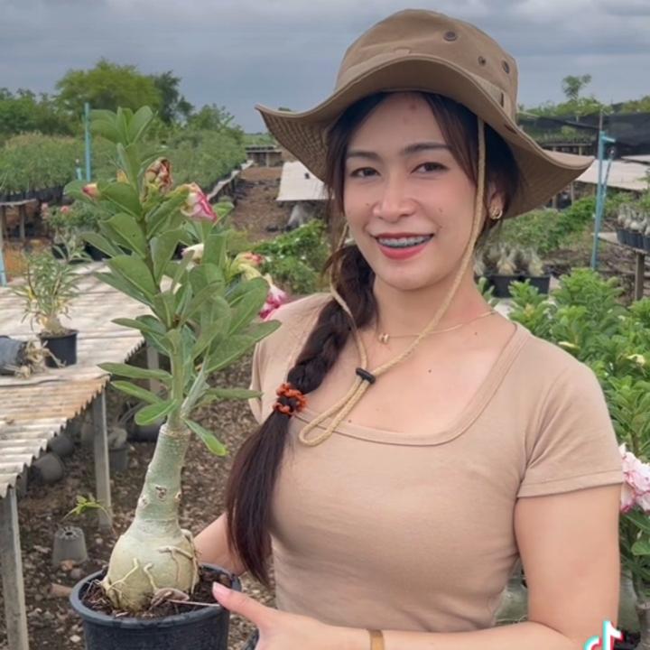 สุทธิดา ชวนชม