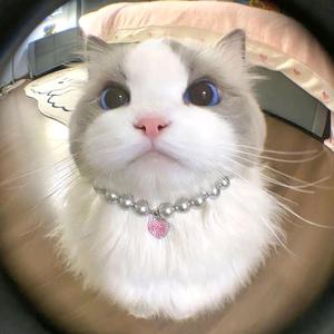 thanh long ˚ ༘ ೀ⋆。˚