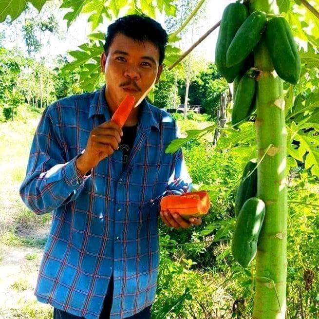 ว่ากันไปตามวิถี