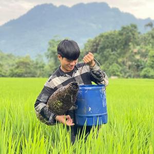 Dự Đông Bắc