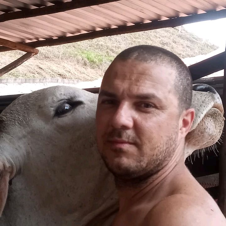 Vicente De paula alves pereira