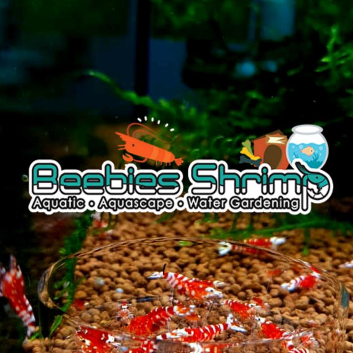 Beebies Aquatic