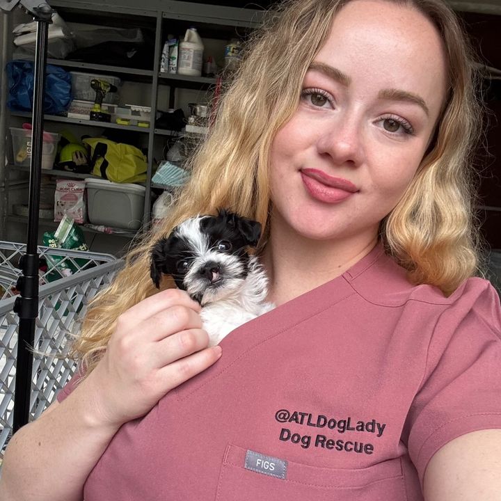 Tiffany•Dog rescuer 🐶💜