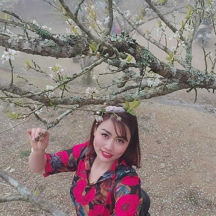 Trang lc gia dụng