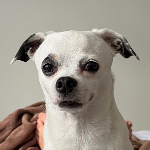 PENELOPE SIDE EYE