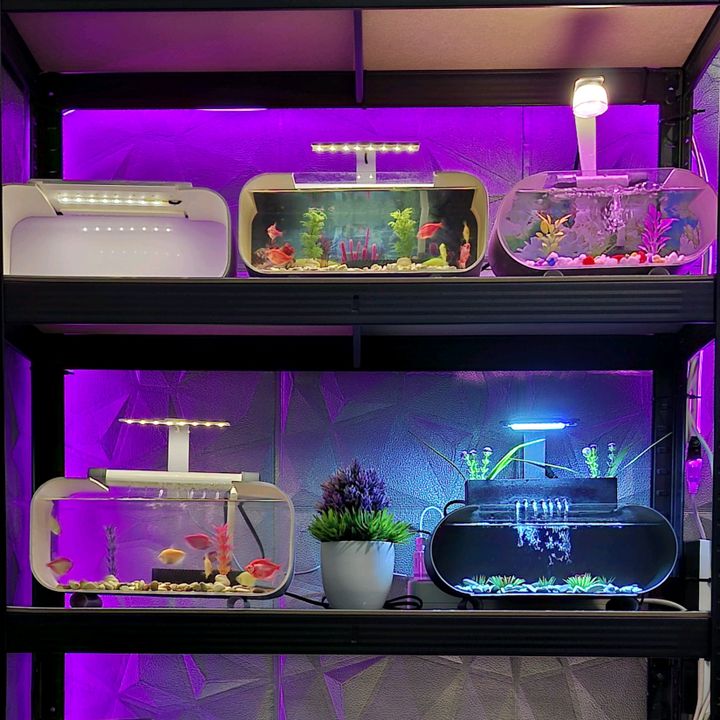 Griya Hoki Store
