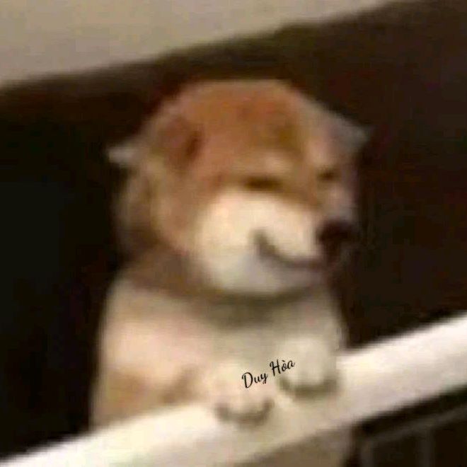 𝙑𝙚𝙧𝙢𝙤𝙪𝙩𝙝