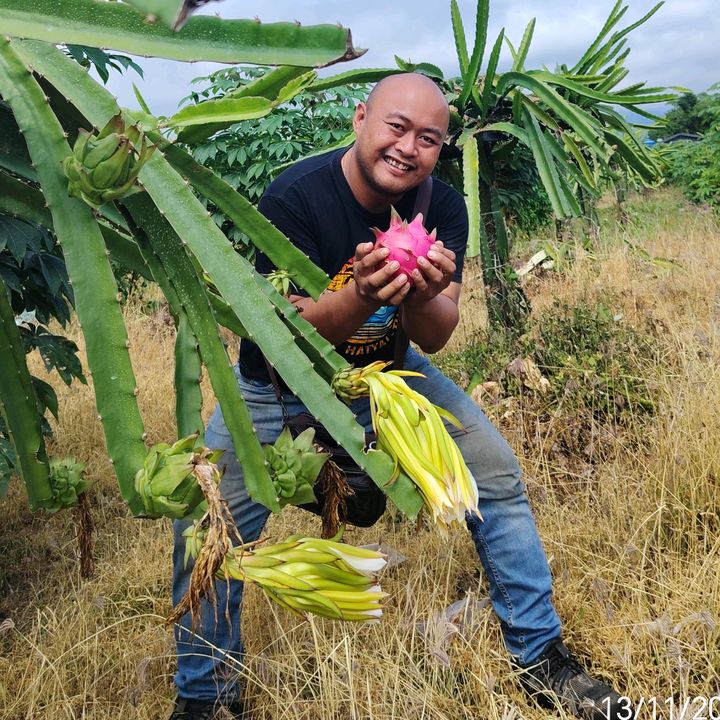 kebun naga kGU
