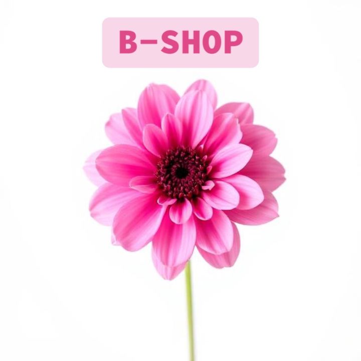 BSHOP🛒⬆️