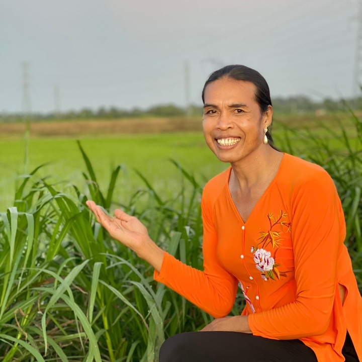 Mộng Kha Đồng Quê