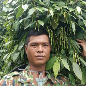 Nguyên nông dân 81