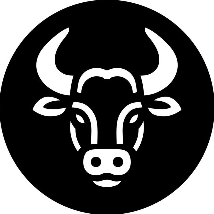 Modao_brutoraiz