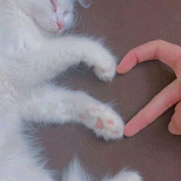 나는 잘생겼다