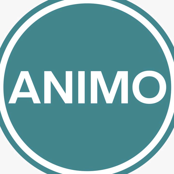 Animo Official Store