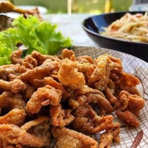 ร้านป้าต้อยหนังไก่ทอดกรอบ