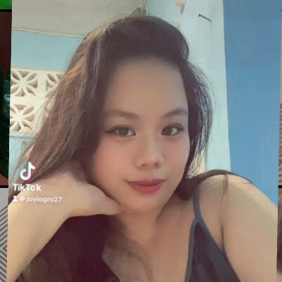joylogro27