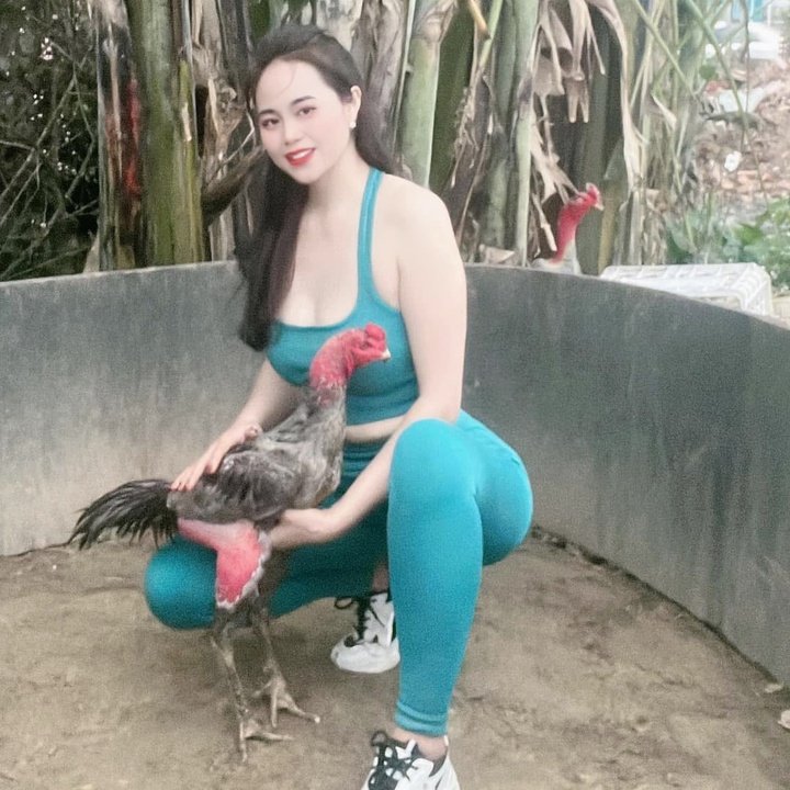 Hà My đồ cho gà