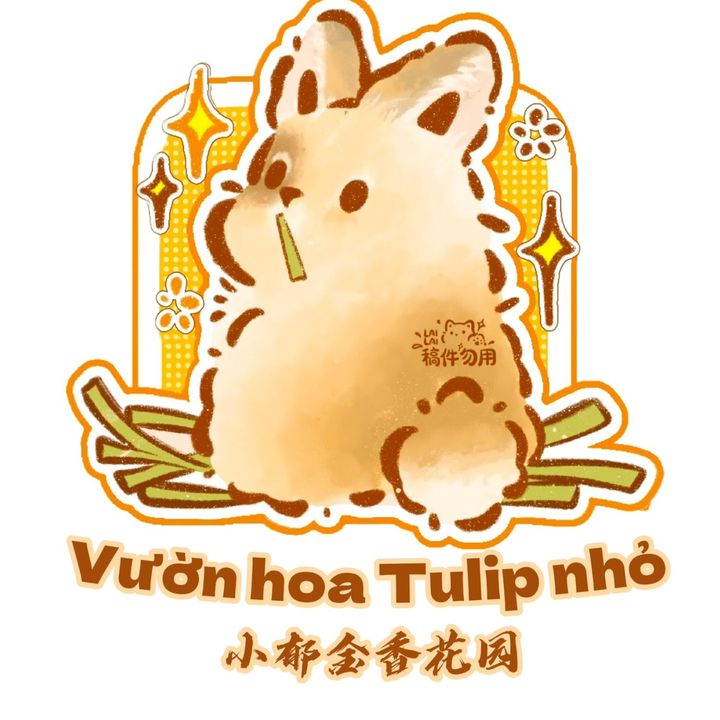 Vườn hoa Tulip nhỏ • 小郁金香花园🌷