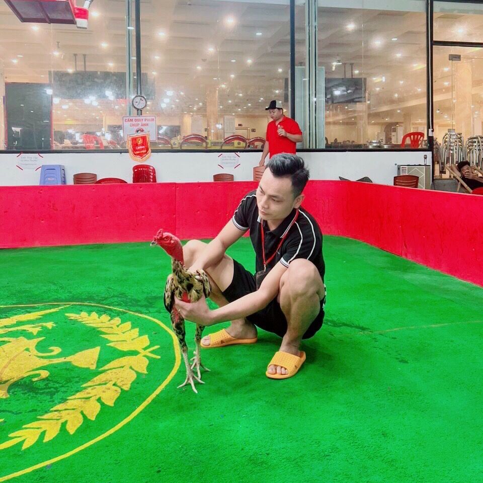 Anh bin 6868