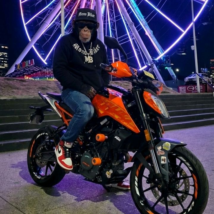 MONO BIKER