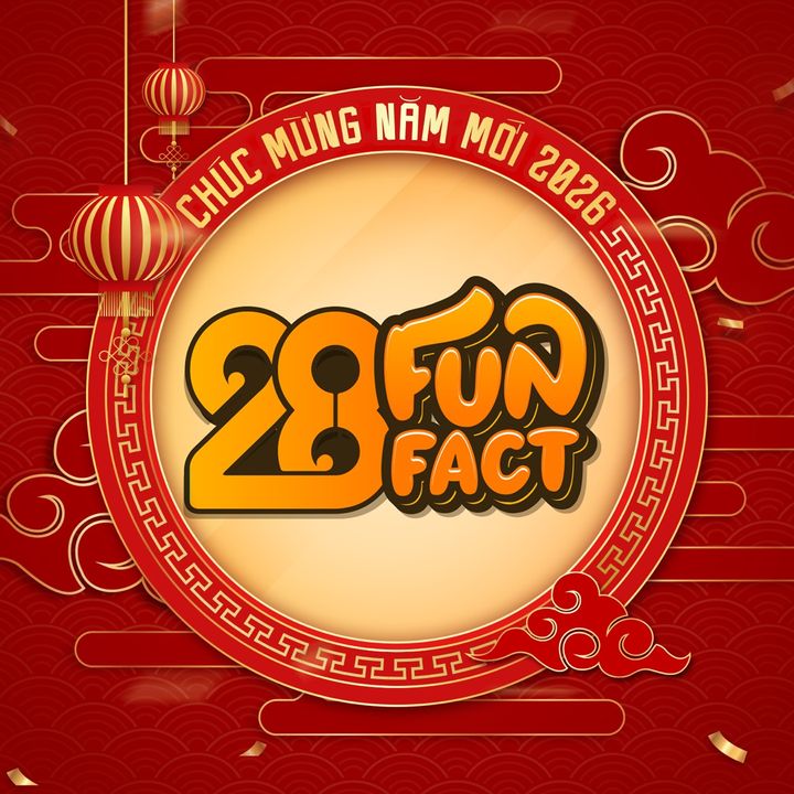 THEANH28 FUNFACT