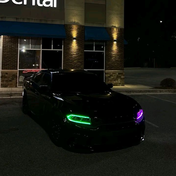 darkbumblebe_