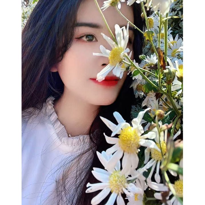 Nhung Phan Daily