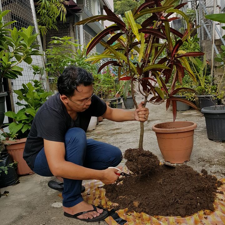 Nasrul_BAJANAS